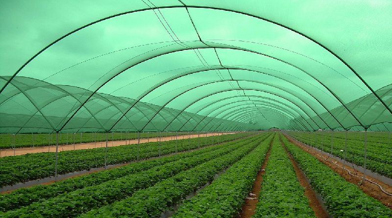 Agri & Poultry Nets