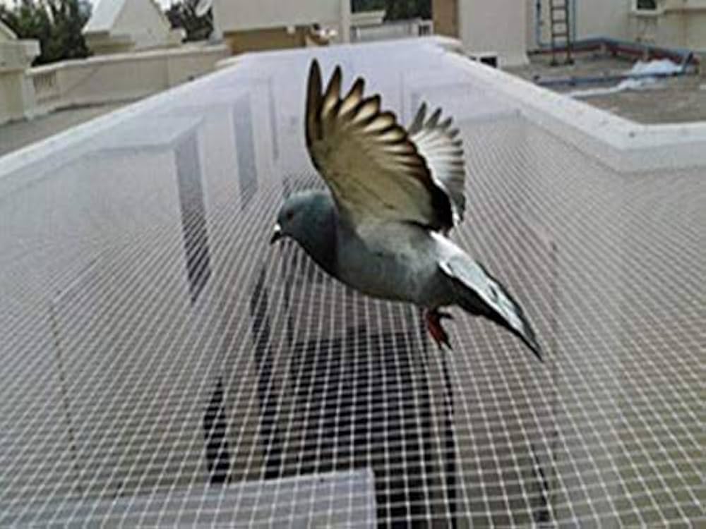 Pigeon Nets — reference photos — image 3