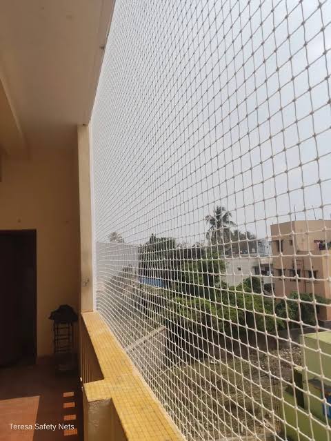 Pigeon Nets — reference photos — image 2