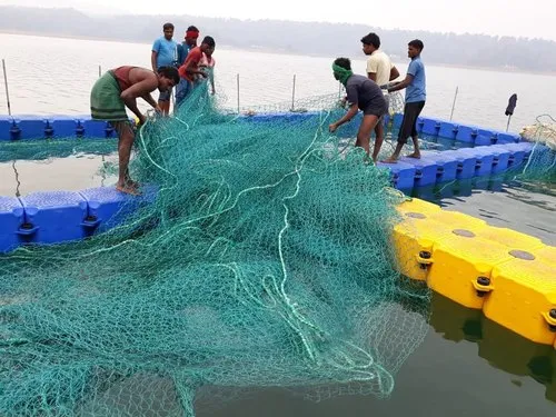 Fishing & Aquaculture Nets